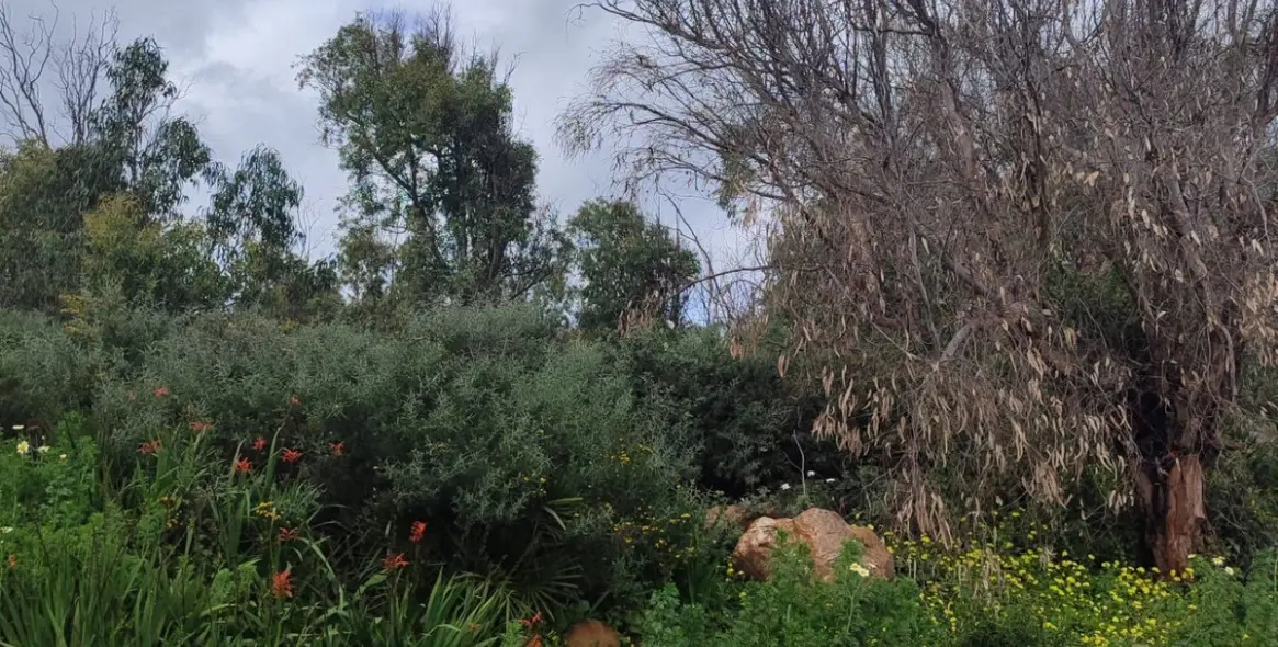 Venta de parcela residencial en Manilva 11