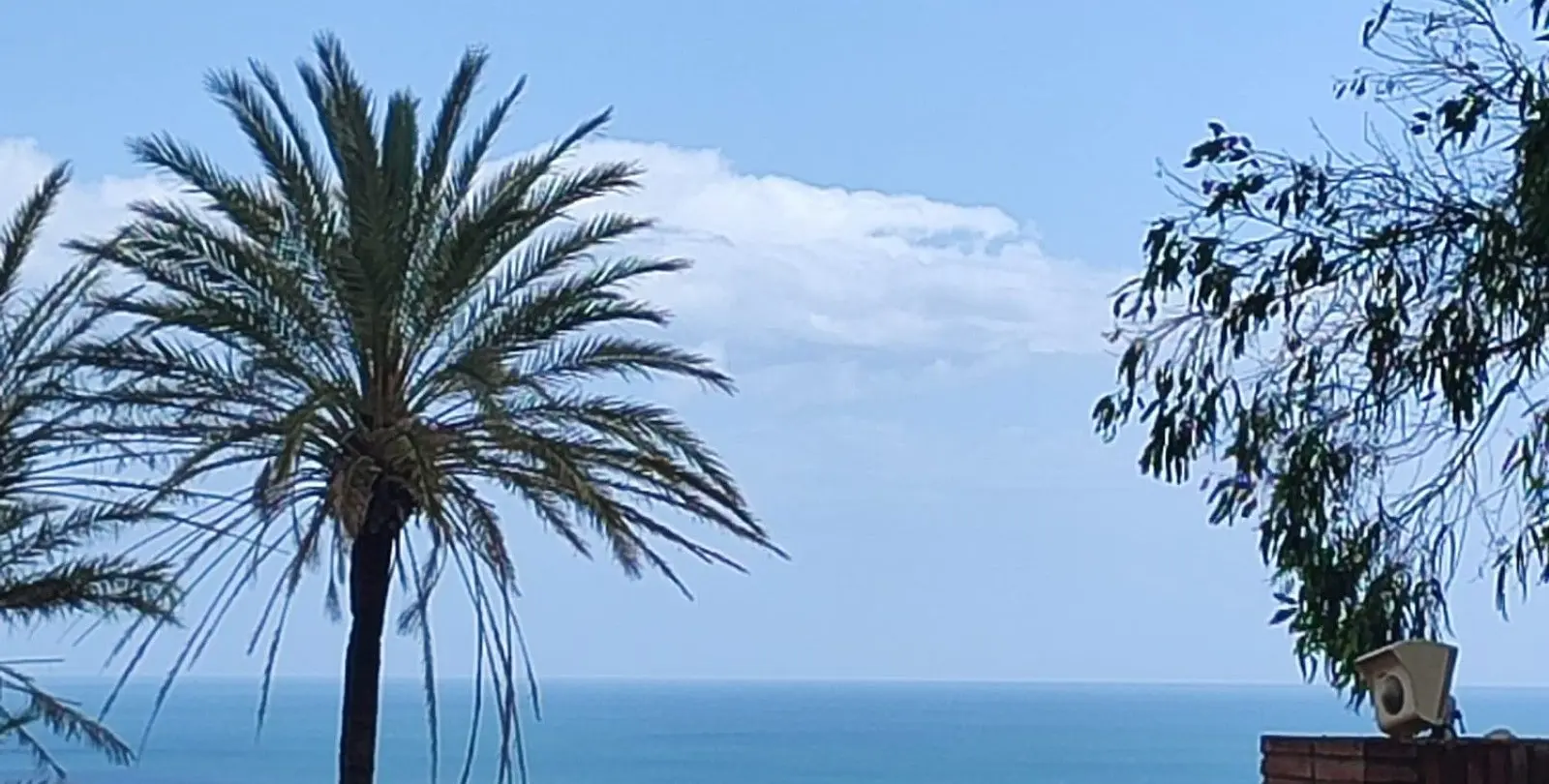 Sale of residential plot in Manilva 1