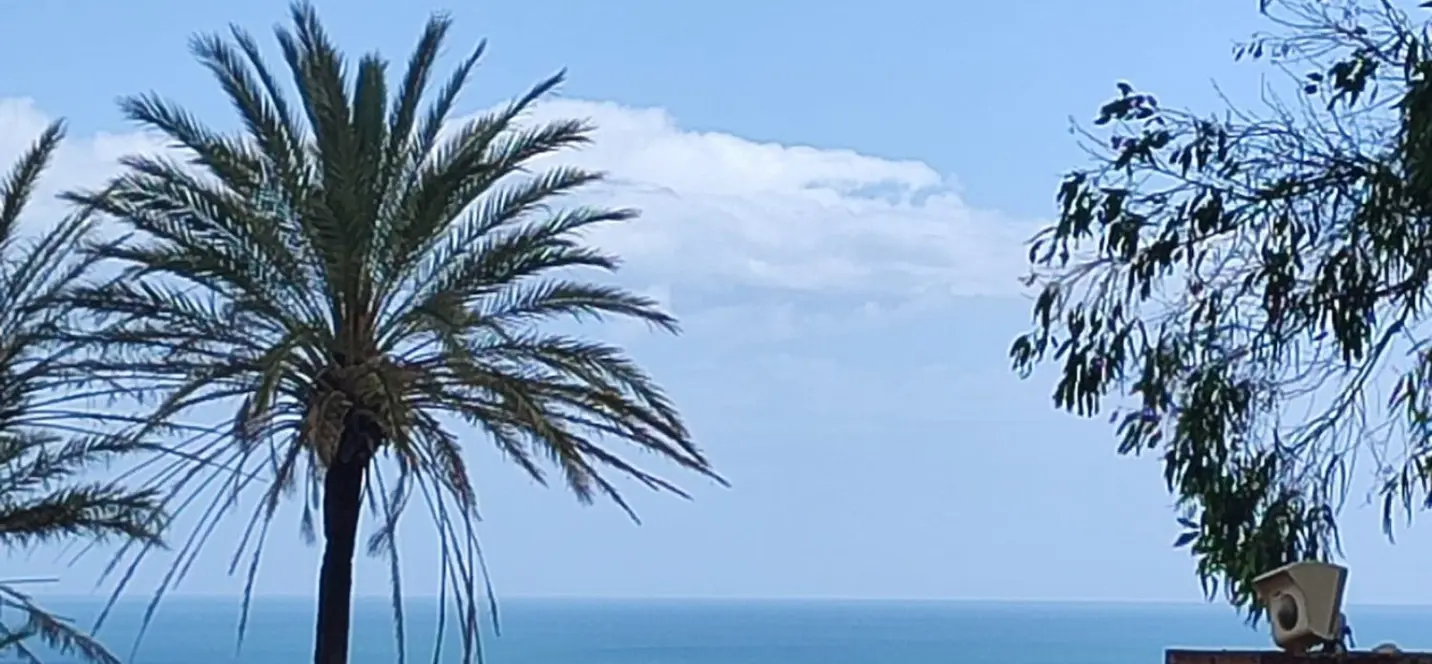 Sale of residential plot in Manilva 0