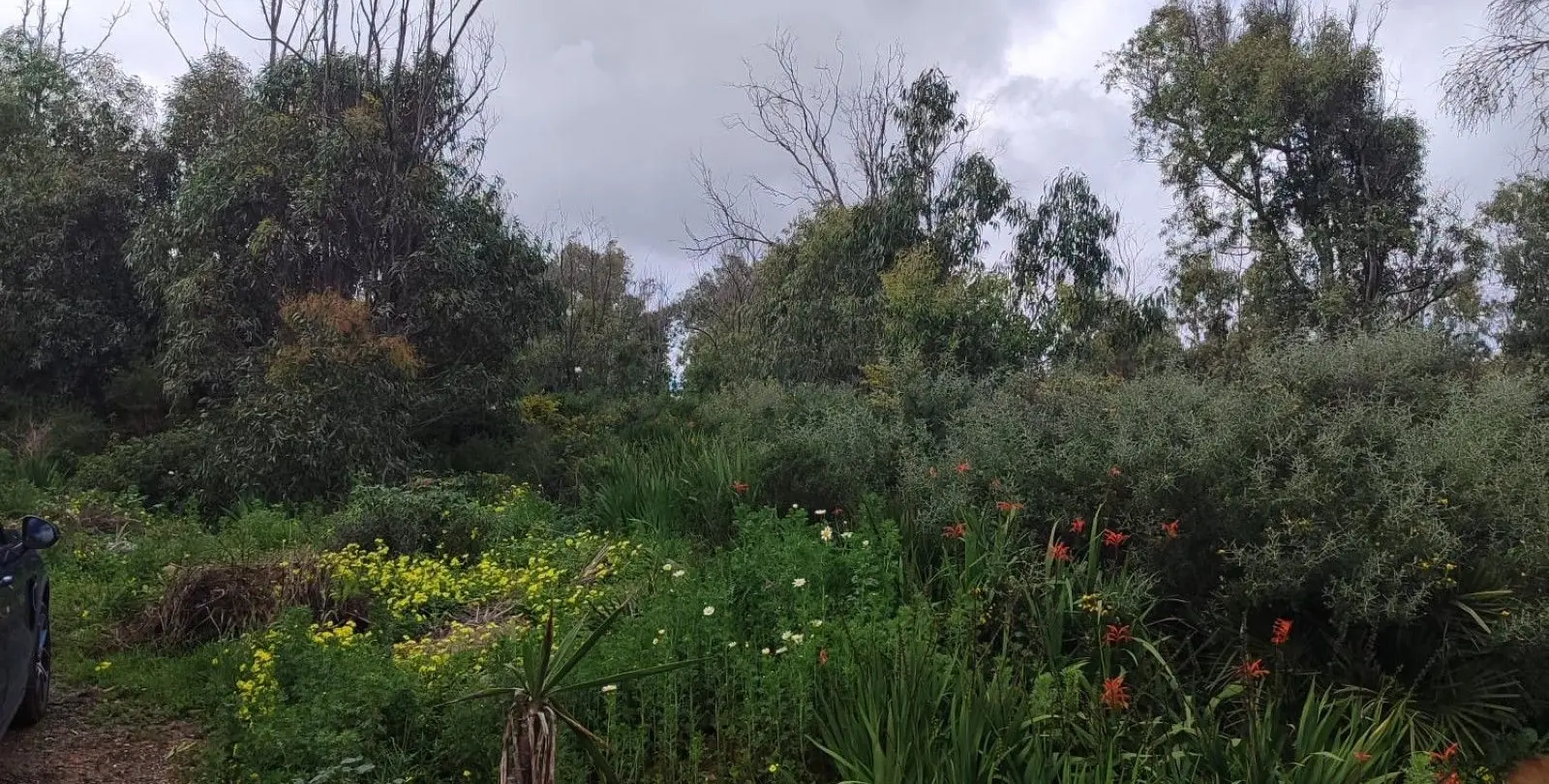 Sale of residential plot in Manilva 10