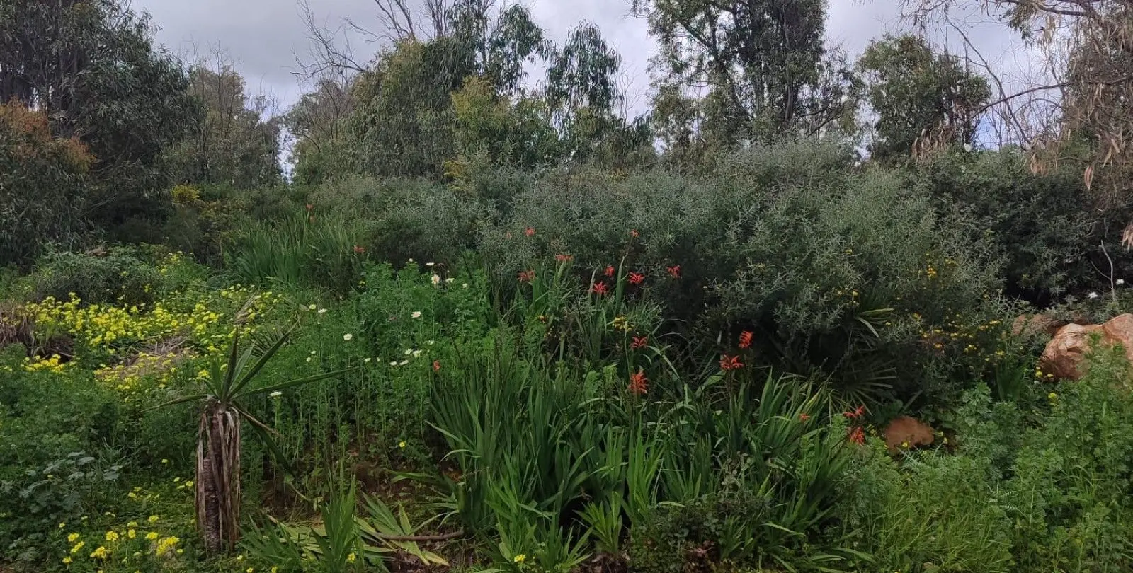 Sale of residential plot in Manilva 12