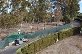 Image 4 thumb