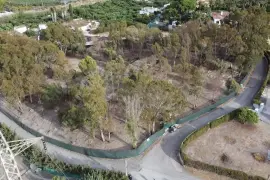 Image 8 thumb