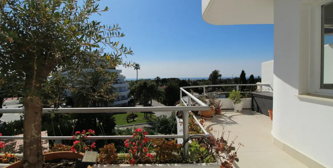 Sale of middle floor apartment in Guadalmina Alta 6