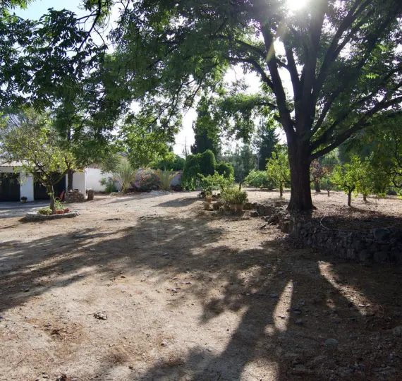 Sale of detached villa in Alhaurín el Grande