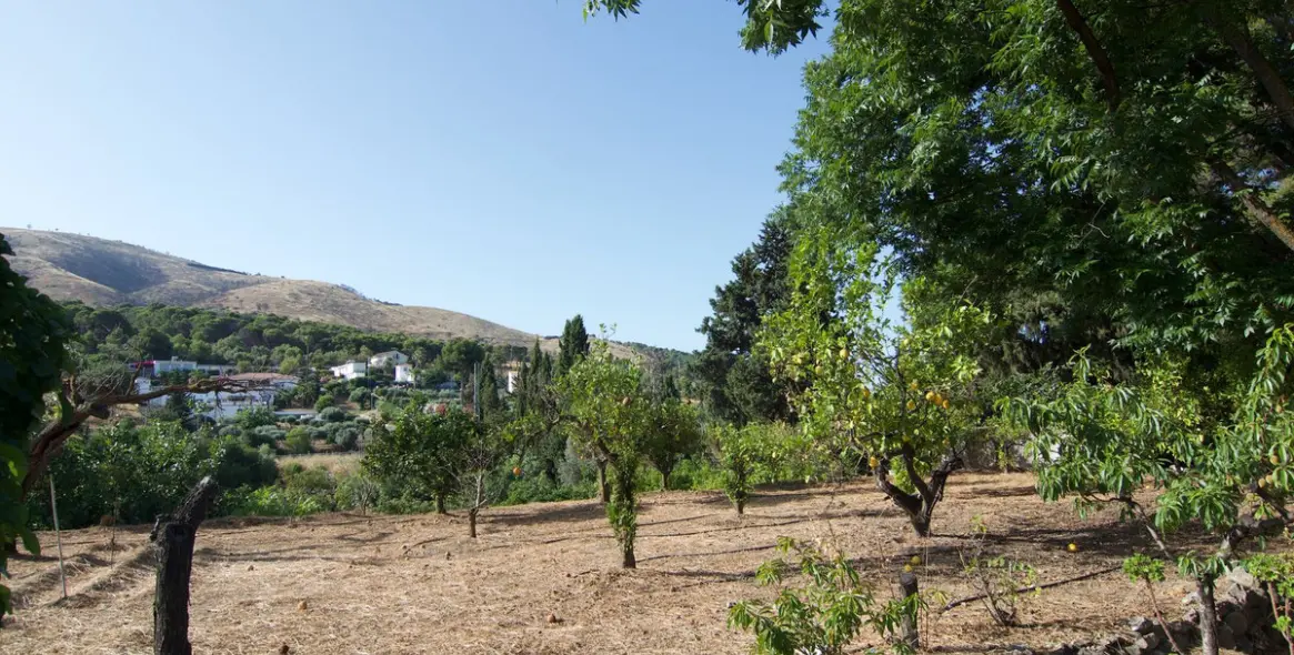 Sale of detached villa in Alhaurín el Grande 5