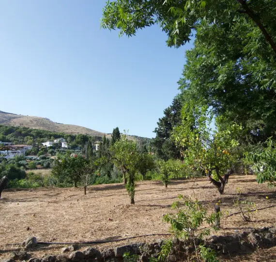 Sale of detached villa in Alhaurín el Grande