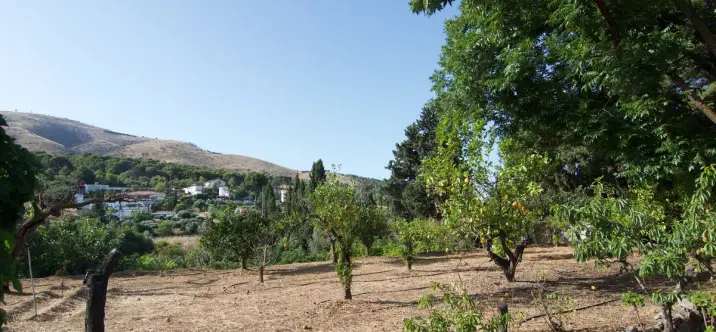 Sale of detached villa in Alhaurín el Grande 4