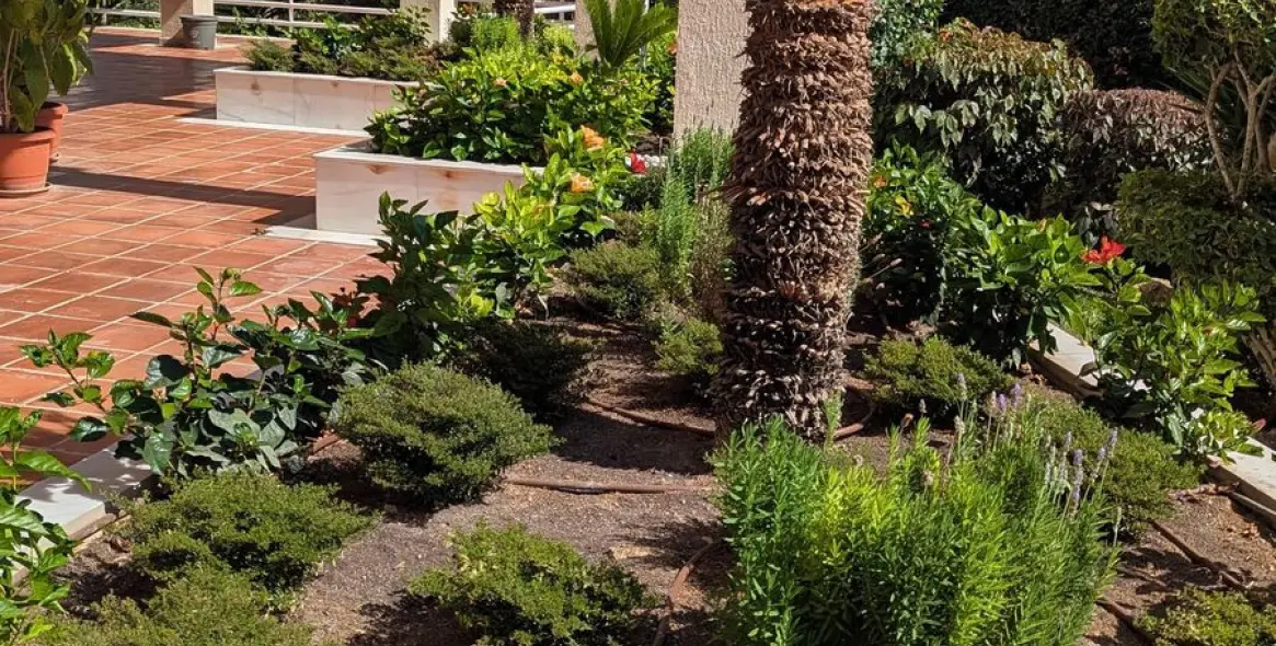 Sale of penthouse in Limonar 33