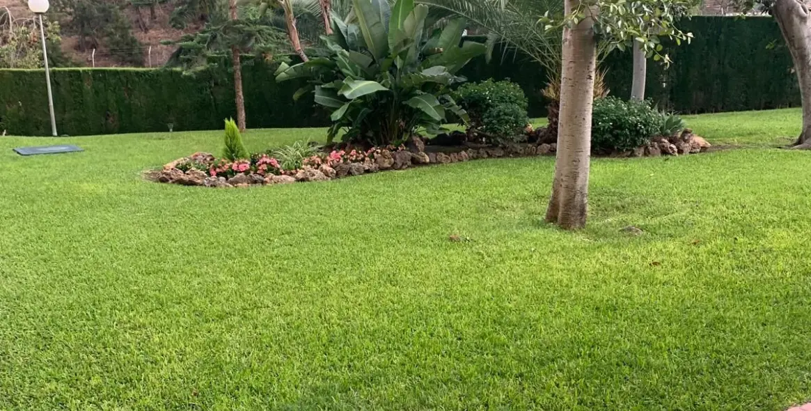 Sale of penthouse in Limonar 37