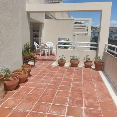 Sale of penthouse in Limonar