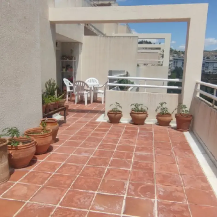 Venta de ático en Limonar