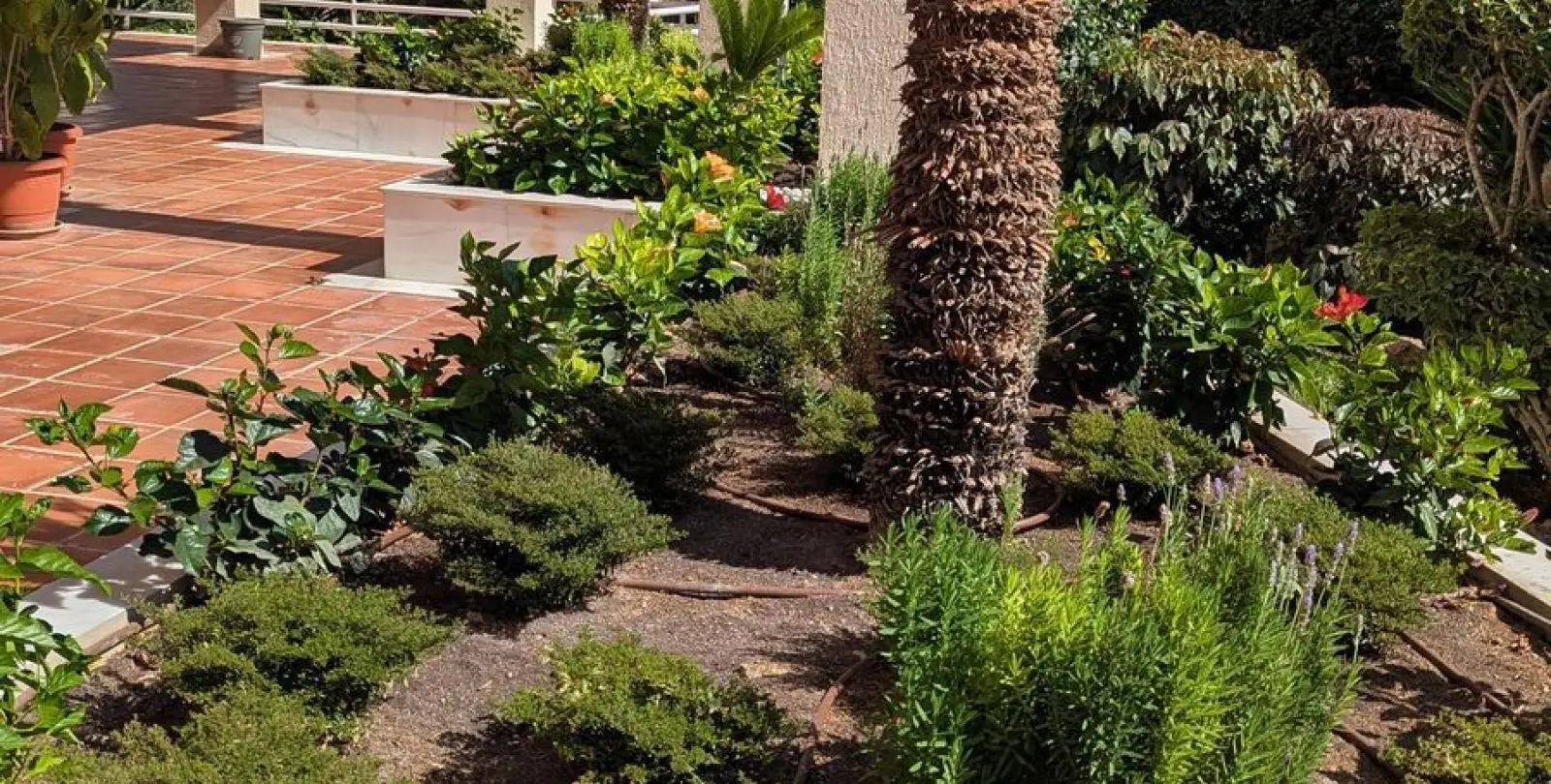 Sale of penthouse in Limonar 33