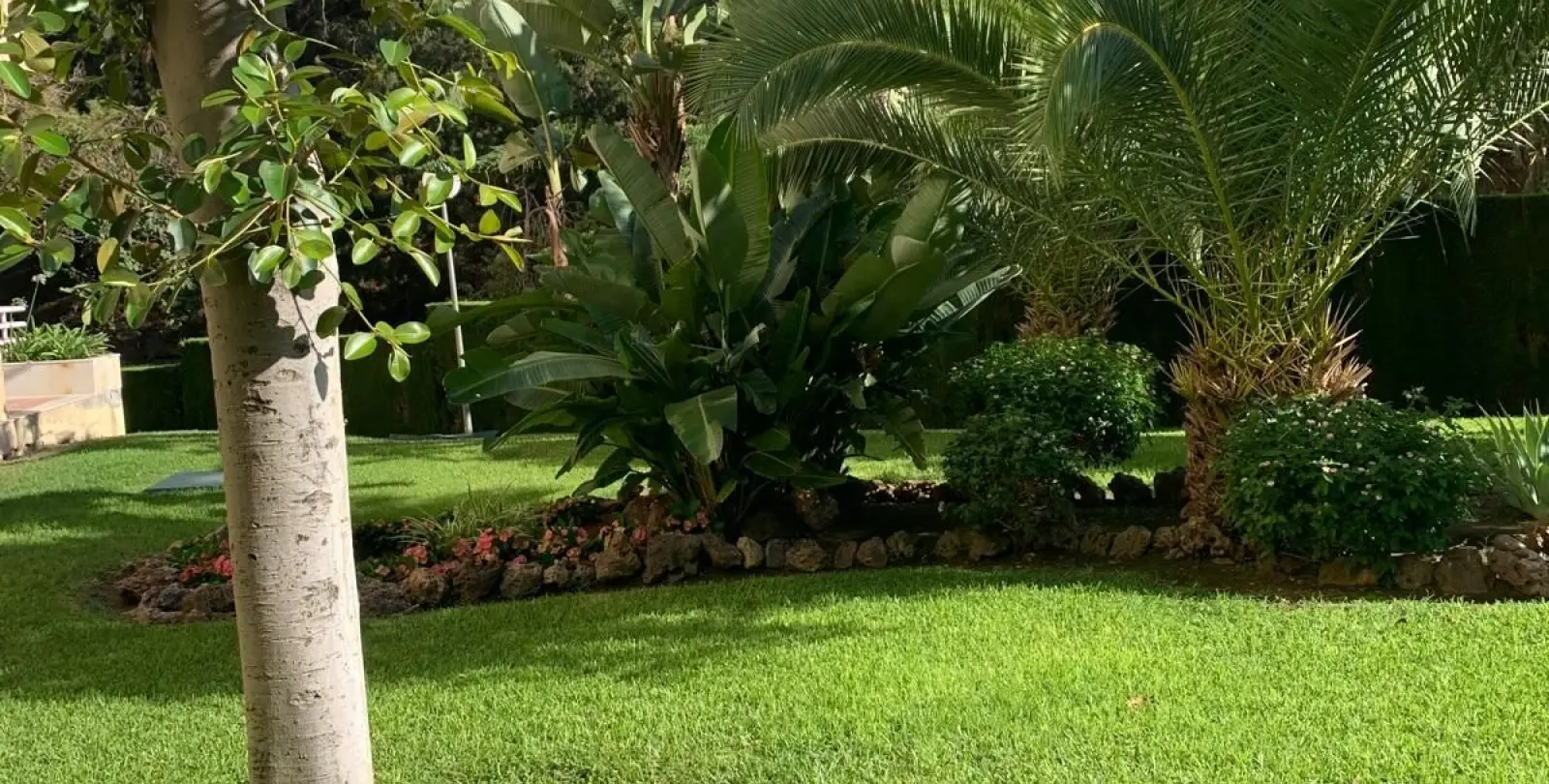 Sale of penthouse in Limonar 34