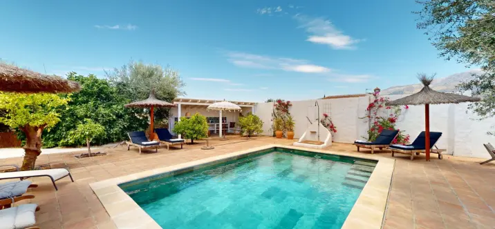 Sale of detached villa in Arenas 3