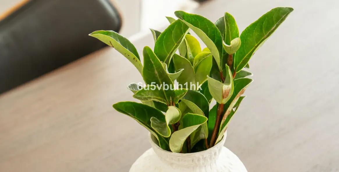 Sale of ground floor apartment in Fuengirola 35