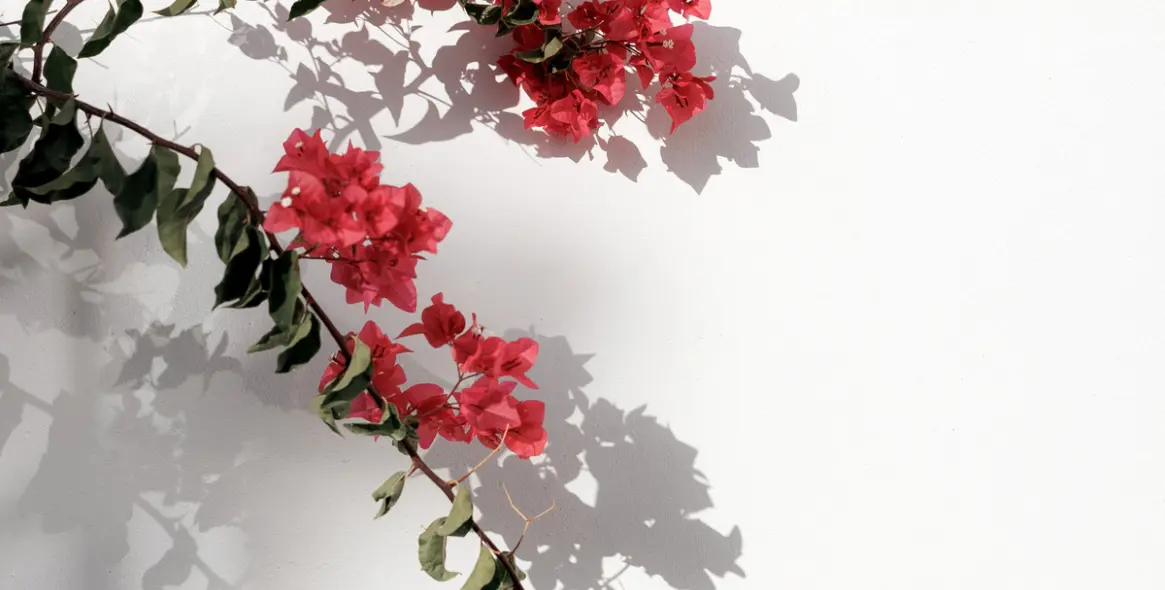 Sale of townhouse in Nueva Andalucía 9