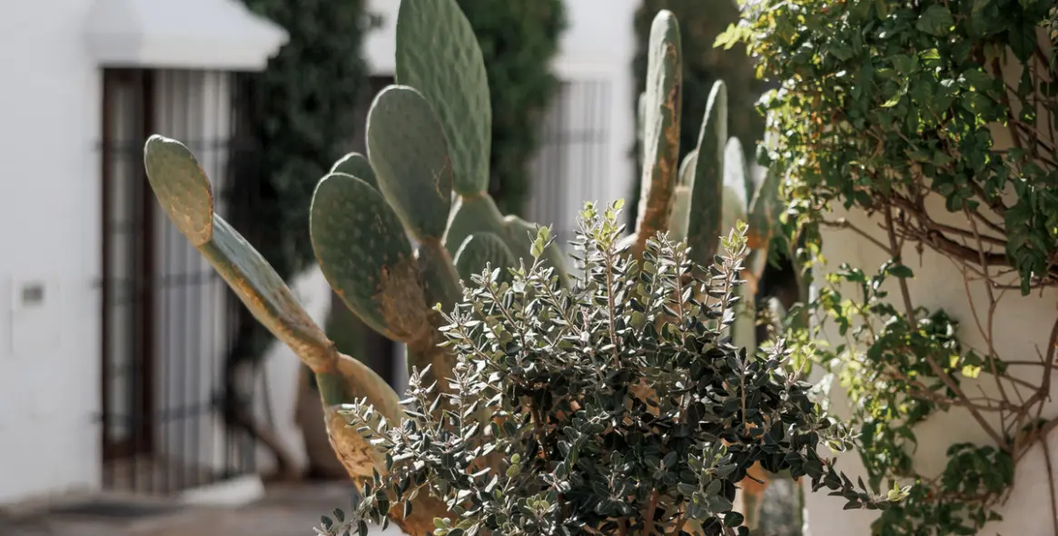 Sale of townhouse in Nueva Andalucía 11