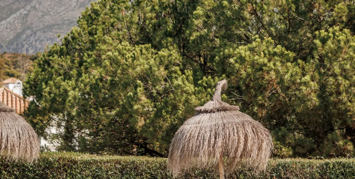 Sale of townhouse in Nueva Andalucía 13