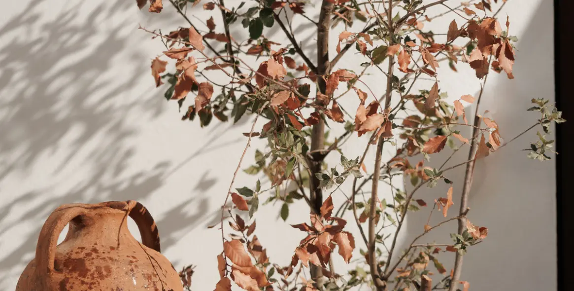 Venta de adosado en Nueva Andalucía 30