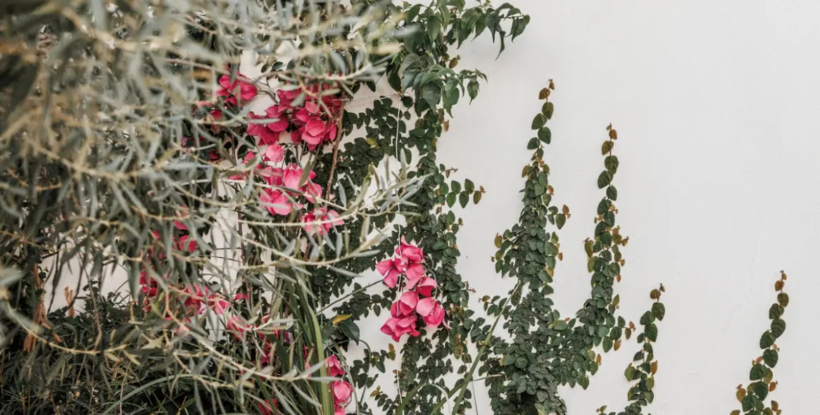 Venta de adosado en Nueva Andalucía 35