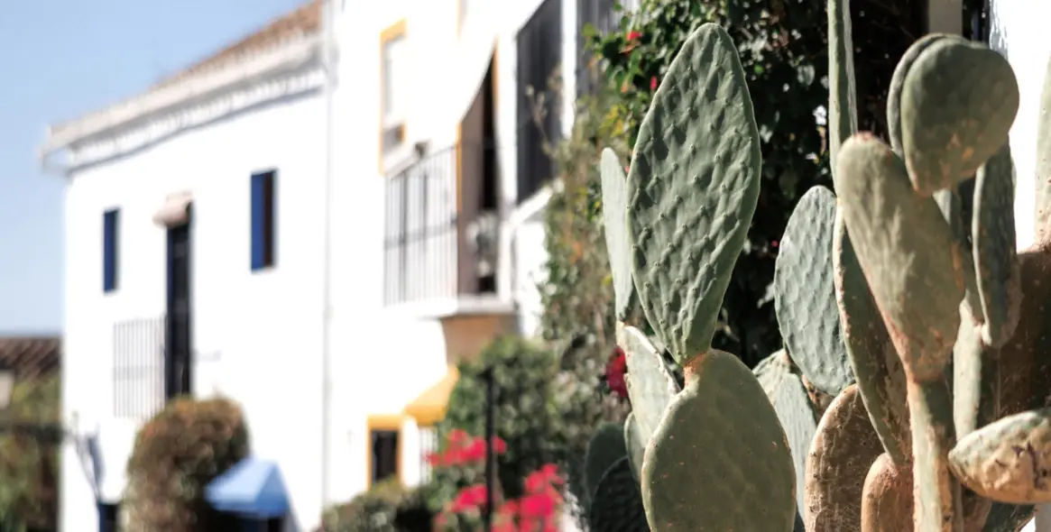 Venta de adosado en Nueva Andalucía 41