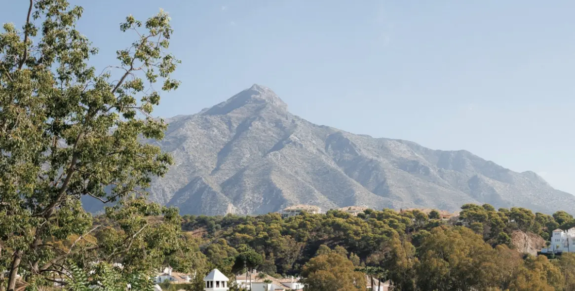 Venta de adosado en Nueva Andalucía 60