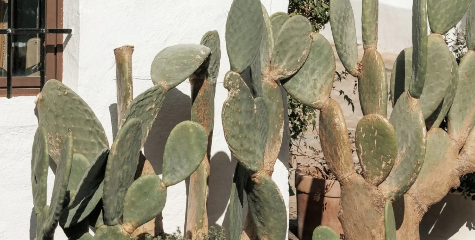 Sale of townhouse in Nueva Andalucía 42