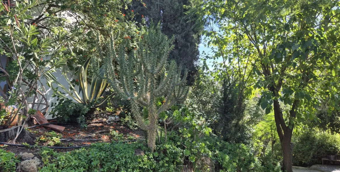 Sale of detached villa in Coín 60