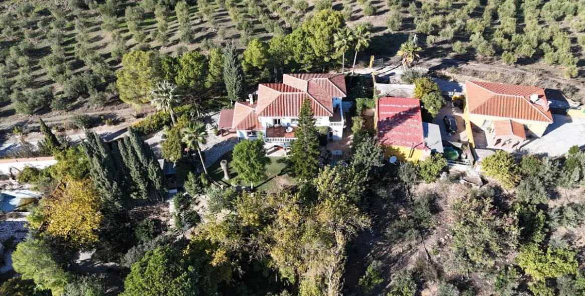 Sale of detached villa in Coín 66