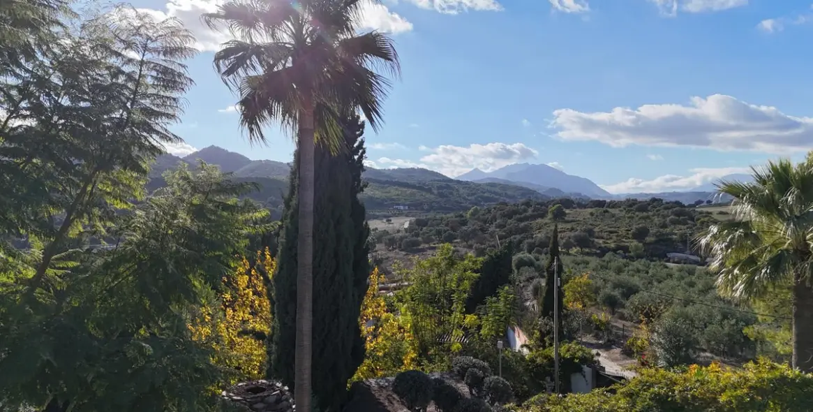 Sale of detached villa in Coín 69