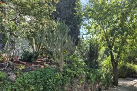 Image 60 thumb