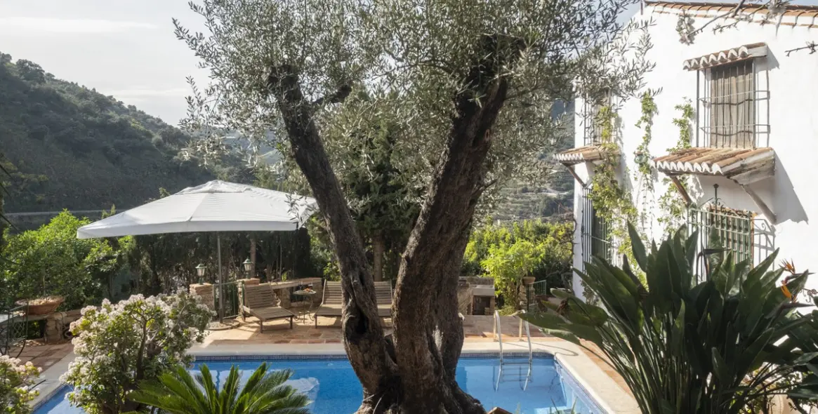 Sale of detached villa in Sayalonga 2