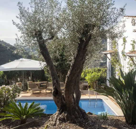 Detached villa R4159363