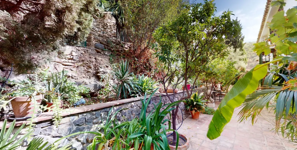 Sale of detached villa in Sayalonga 3