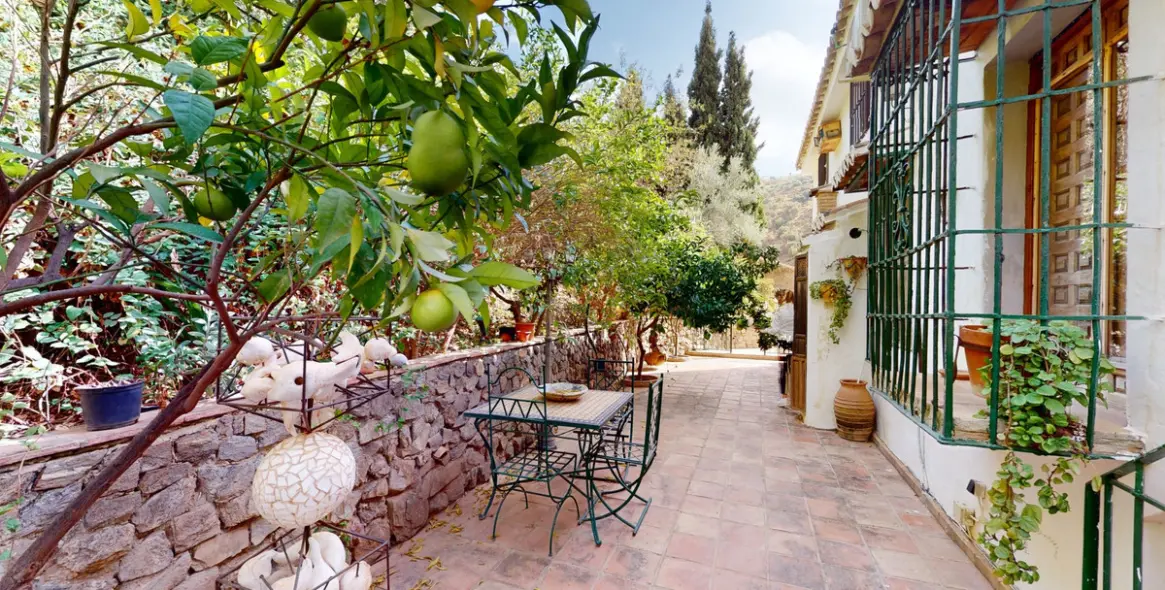 Sale of detached villa in Sayalonga 4