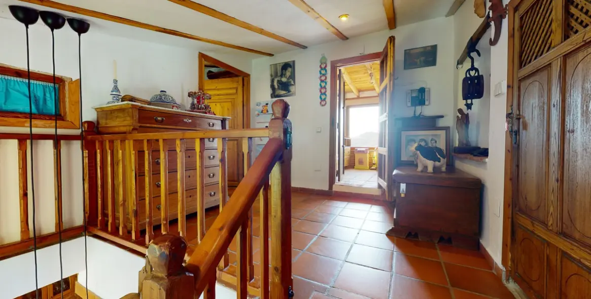 Sale of detached villa in Sayalonga 33