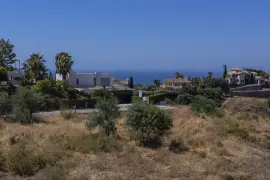 Image 4 thumb