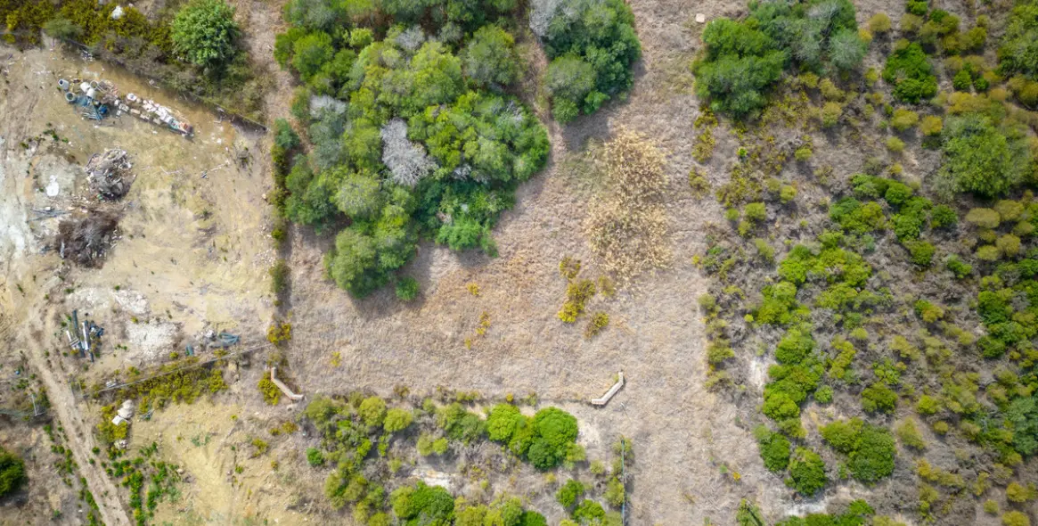 Venta de parcela residencial en Sotogrande 3