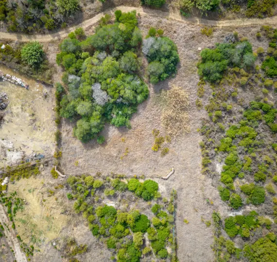 Venta de parcela residencial en Sotogrande