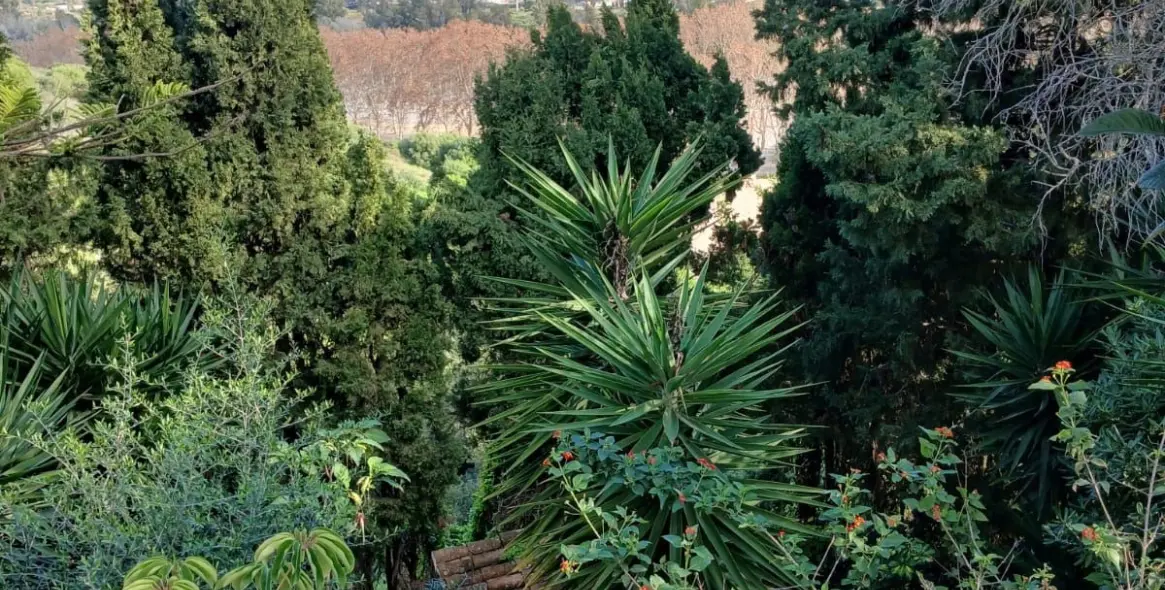 Продажа  отдельно стоящей виллы в Pueblo Nuevo de Guadiaro 11