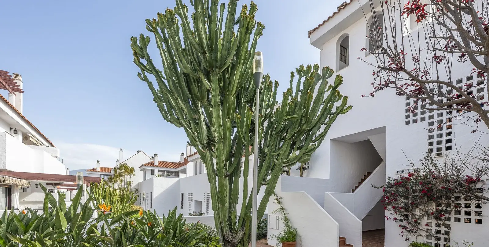 Sale of middle floor apartment in Nueva Andalucía 9