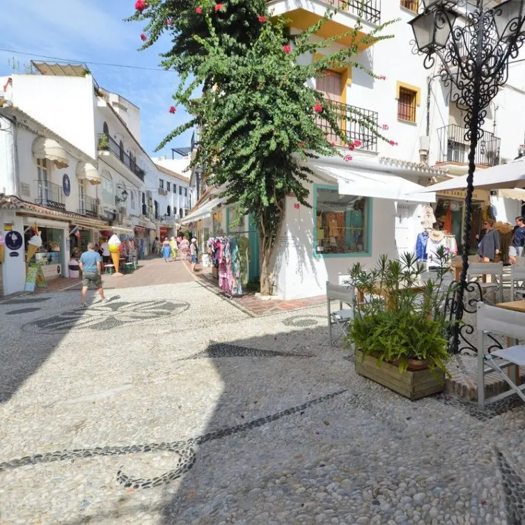 Продажа  отдельно стоящей виллы в Marbella