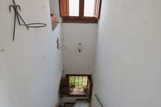 Image 6 thumb