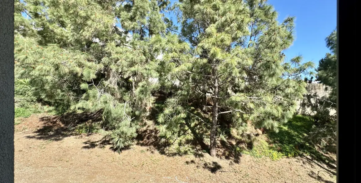 Продажа дома на две семьи в El Chaparral 31