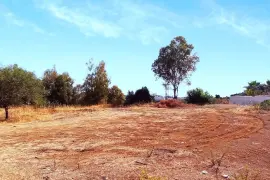 Image 1 thumb