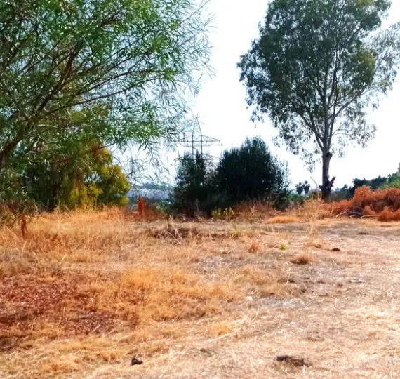 Sale of residential plot in La Quinta