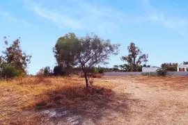 Image 4 thumb