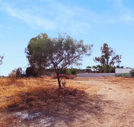 Sale of residential plot in La Quinta
