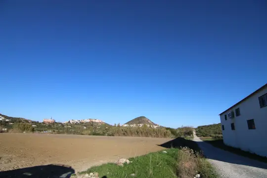 Image 4 thumb